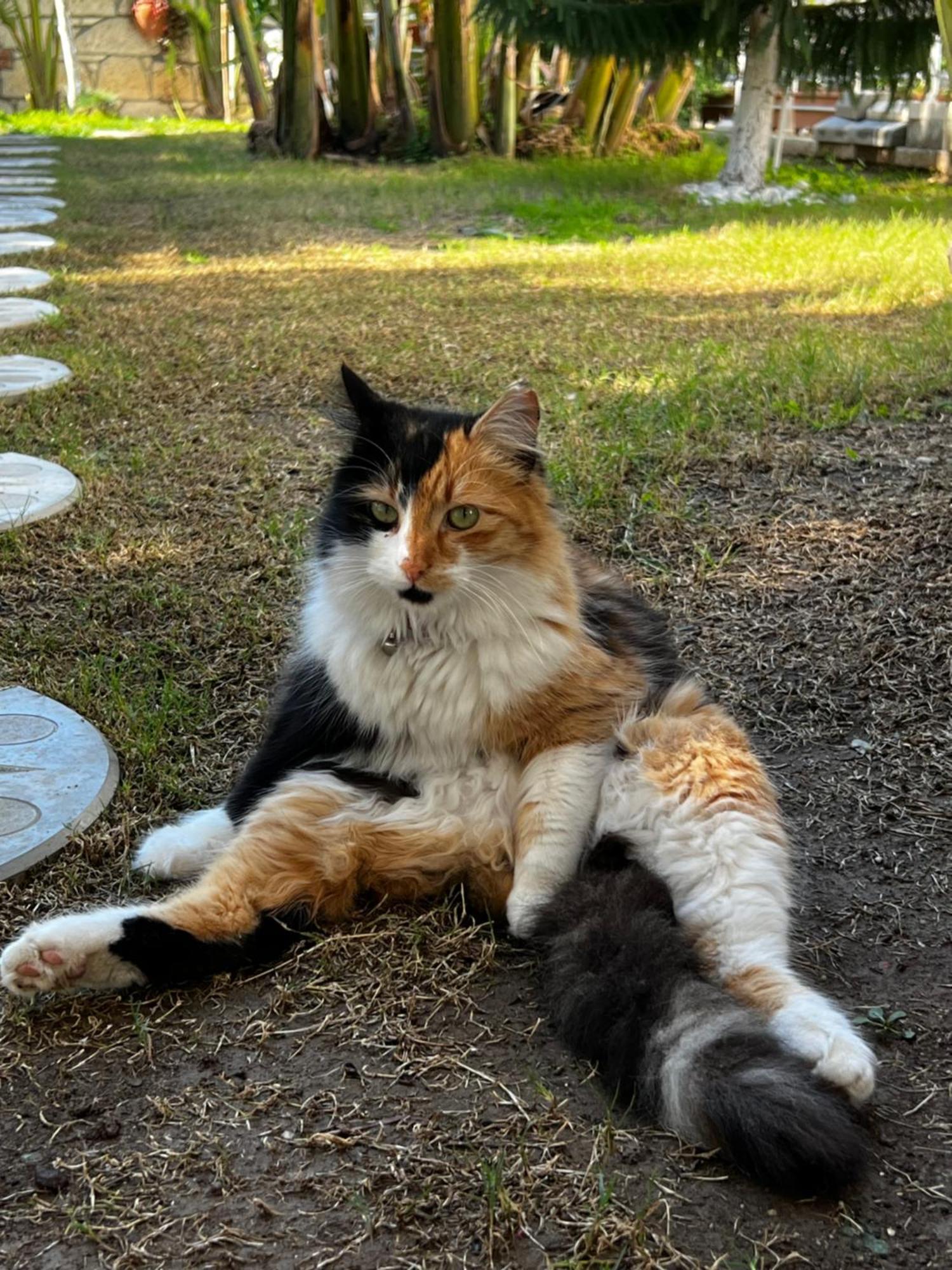 Luna Alaçatı Zewnętrze zdjęcie