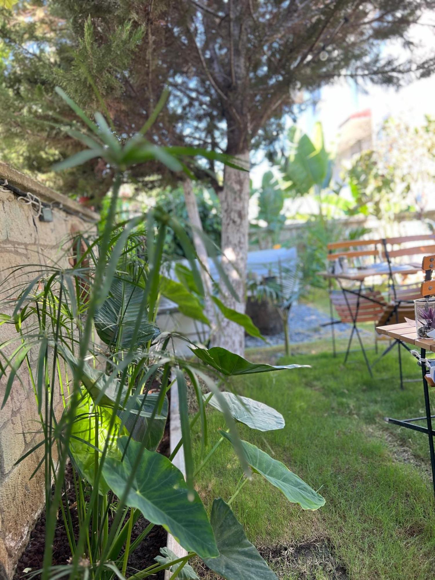Luna Alaçatı Zewnętrze zdjęcie